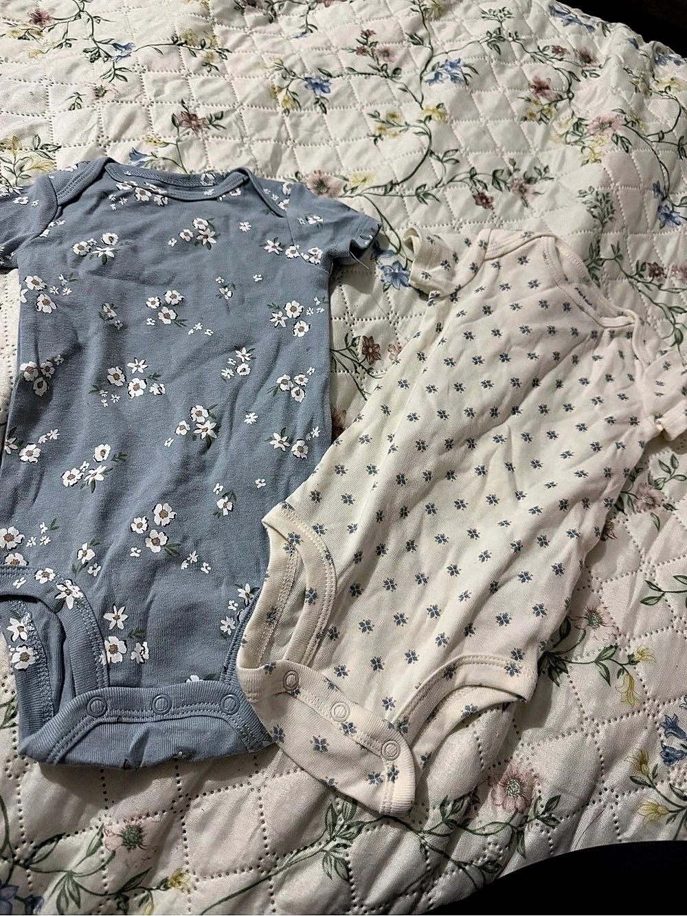 Floral Bodysuit Set 6 months